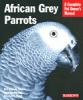 information about african gray parrots