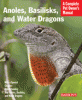 information about anoles, basilisks, and water 