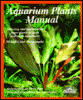 information about aquarium plants manual