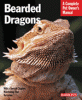 information about bearded dragons 
