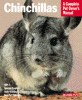 information about chinchillas
