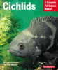 information about cichlids