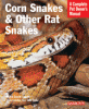 information about corn snakes and other rat snakes
