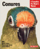 information about conures