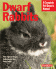 information about dwarf rabbits