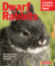 information about dwarf rabbits