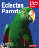information about eclectus parrots