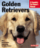 information about golden retrievers