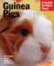 information about guinea pigs