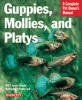 information about guppies, mollies, platys