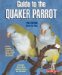Guide To Quaker Parrots