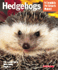 information about hedgehogs