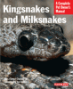 information about kingsnakes and milksnakes