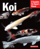 information about koi