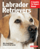 information about labrador retrievers