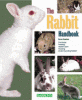information about rabbit