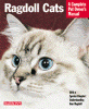 information about ragdoll cats