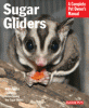 information about sugar gliders 