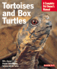information about box turtles 