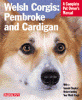 information about welsh corgis - pembroke 