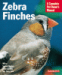 information about zebra finches
