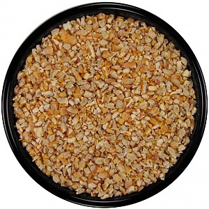 cracked corn seed for birds