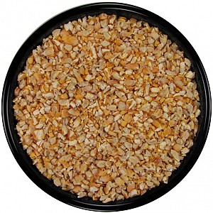 cracked corn in bulk