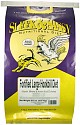 parrot bird food