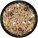 amazon parrot diet