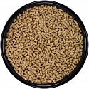 pellets parrot food