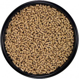 pellets parrot food