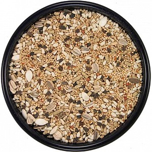 quaker parrot food