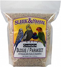 pet bird food