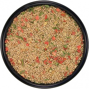 parakeet bird food