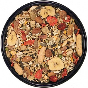 parrot food