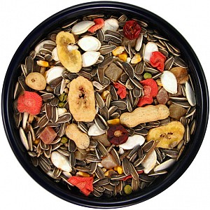 garden parrot food