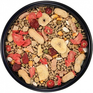 pellet parrot food