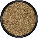 parrot seed