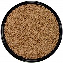 parrot seed