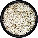 Oregon Squash Seed Treat