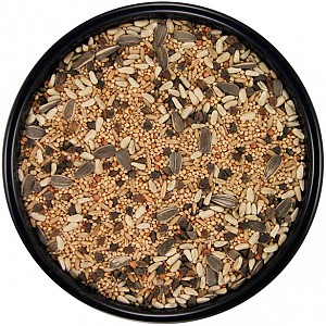 cockatiel food