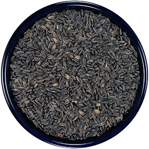 black oil sunflower seed