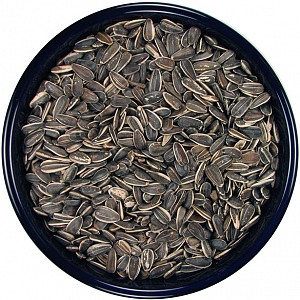 sunflower seed for birds