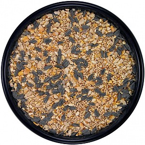 cheap wild bird seed