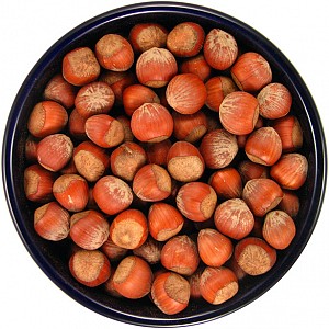 Whole Hazelnut Parrot Treat