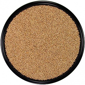 parrot seed